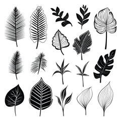 Hand drawn tropical leaf collection