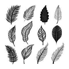 Hand drawn tropical leaf collection