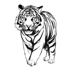 Obraz premium Tiger hand draw sketch on white background vector illustration