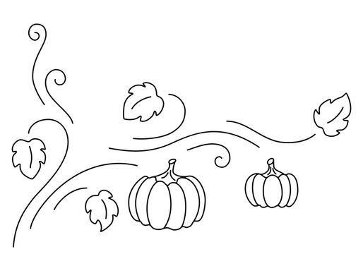 Pumpkin with leaves and vines isolated on white background. Line art style. Universal pumpkin image for Halloween decoration, harvest festival, border, frame, card or other design. Vector illustration