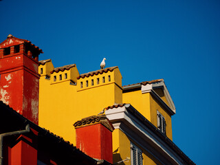 A seagull sits on the roof of an old house in the city center. Blue skies and colorful houses. Tiled roofs and ventilation pipes. Cozy resort town in summer. Rovinj, Croatia - July 7, 2023