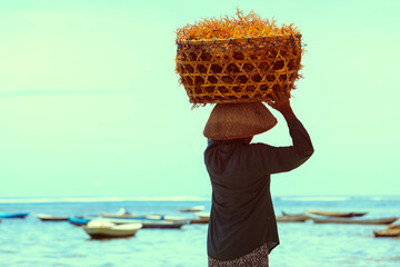 woman carry a basket of orange seaweed on her head at seaweed farm Nusa penida island in Bali, Indonesia © nonglak