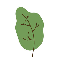Leaf Illustration
