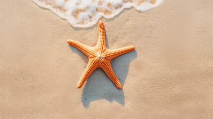 Fototapeta na wymiar Starfish on the beach, Summer sea or beach concept. Starfish on sand. Top view. Copy space. Banner.