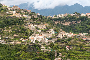 Agriculture plantation activities on terrace hill along Amalfi coast in Italy