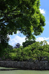 緑が美しい初夏の岡山城と青空