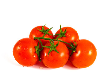 tomatoes on a white background