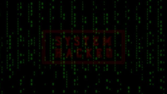 4k animation of system hacked with binary code technology background.concept of web developer. digital computer code. Programming. Coding.