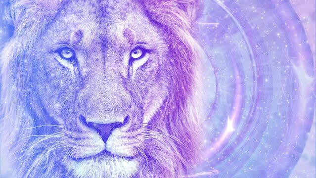 Lion on an Ethereal Portal Background Meditation Animation, Visualization, Video