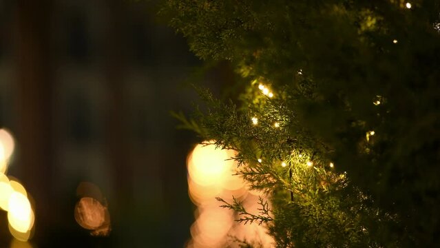 New year christmas tree branch at yellow flickering lights of garlands copy space background, merry christmas and happy new year mood at twinkling lights of street decorations, close up view to lights