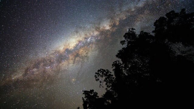 Timelapse of the milky way above the Amazon rainforest