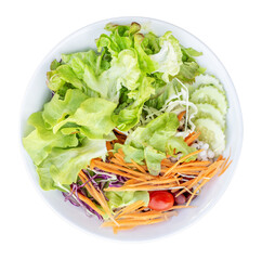 Colorful vegetable salad in dish