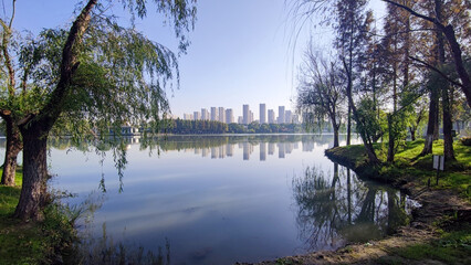 lake in the park