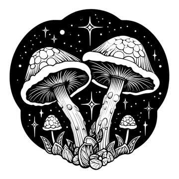 recommend clip art: Illustration of mushrooms, isolated on white background.