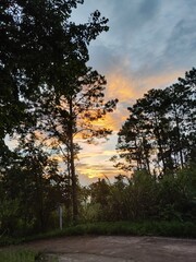 Fototapeta na wymiar sunset in the park