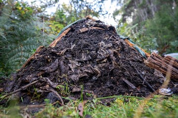 Obraz premium soil fungi storing carbon through carbon sequestration on a farm, receiving carbon credits