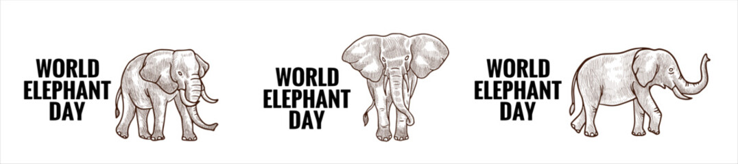 vector design for World Elephant Day is an international annual event on August 12, dedicated to the preservation and protection of the world's elephants