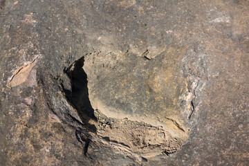 Bolivia dinosaur footprints in Toro Toro