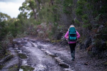 Girl hiking in the forest with a baby in a backpack. Mother and toddler walking together in the woods