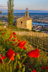 Grand cru vineyard and Chapel of Saint Christopher, Tain l'Hermitage, Rhone-Alpes, France