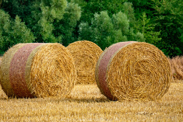 Strohrollen auf Stoppelfeld