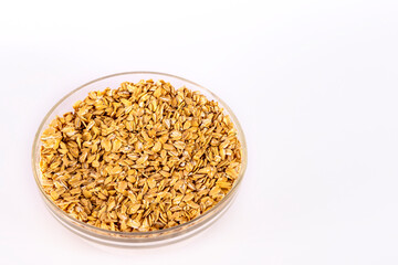 Oatmeal in a plate close-up. A bowl of dry oatmeal. Delicious grain porridge on a white background. Diet breakfast