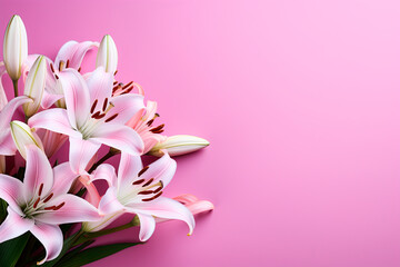 Beautiful lily flowers bouquet on a pink background. Lillies. Pink lilies closeup. Big bunch of fresh fragrant lilies purple background.