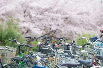 Foto op Aluminium Bicycle parking in sukura pink flower blossom blooming park © themorningglory