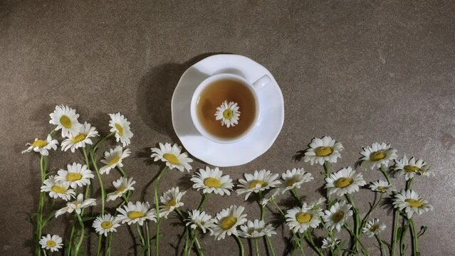 Healthy herbal tea with chamomile flowers in a white cup with camomile medicinal herbs for relaxation and wellness. Floral Infusion,  top view, vertical video