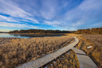 Fototapeta premium nature reserve Olsina, Sumava National Park, Czech Republic
