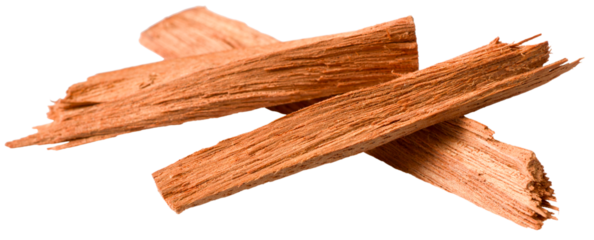 Red sandalwood sticks isolated on white background.