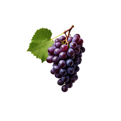 Fototapeta premium Grapes isolated on transparent background. Food theme.