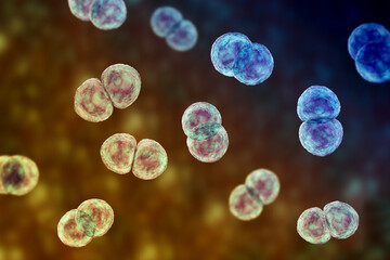 Streptococcus pneumoniae bacteria, 3D scientific illustration