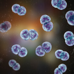 Obraz na płótnie Canvas Streptococcus pneumoniae bacteria, 3D scientific illustration