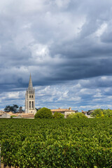 Vineyards with Saint-Emilion town, Aquitaine, Gironde, France