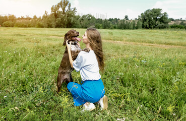 Young woman training spaniel with brown fur at the meadow in summer.