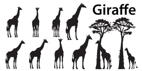 Collection of giraffe silhouette different style vectors 