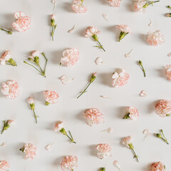 Pink carnation flowers on white background. Flat lay, top view minimal floral composition
