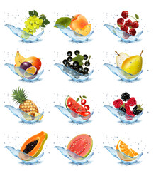 Set of fruits and berries in water splashes. Apricot, watermelon, cherry, raspberry, blackberry, pear, papaya, pineapple, strawberry, mango, grape in water splash and drops. Vector illustration.
