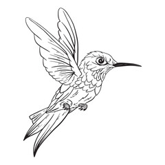 Hummingbirds Outline ,good for graphic design resources, stickers, prints, decorative assets, posters, and more.