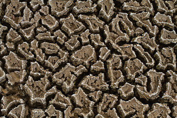 cracked dried soil close-up