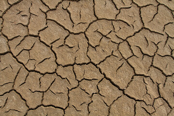 the dried soil is covered with a pattern of cracks