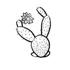 cactus icon vector