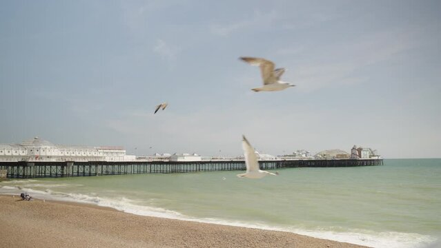 Seagulls flying past Brighton Pier in Summer