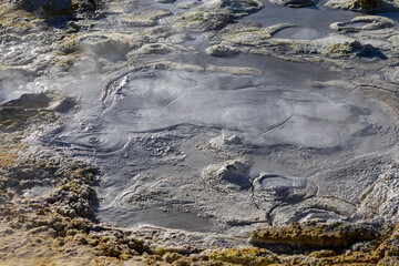 Stunning geothermic field of Sol de Mañana with its steaming geysers and hot pools with bubbling mud - just one sight on the lagoon route in Bolivia, South America