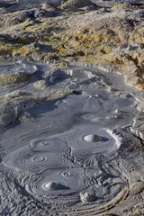 Stunning geothermic field of Sol de Mañana with its steaming geysers and hot pools with bubbling mud - just one sight on the lagoon route in Bolivia, South America