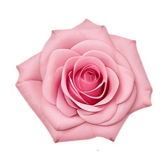 rose pink2, generative ai