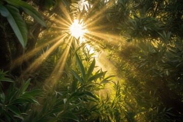 sunrays filtering through olive branches and leaves, created with generative ai