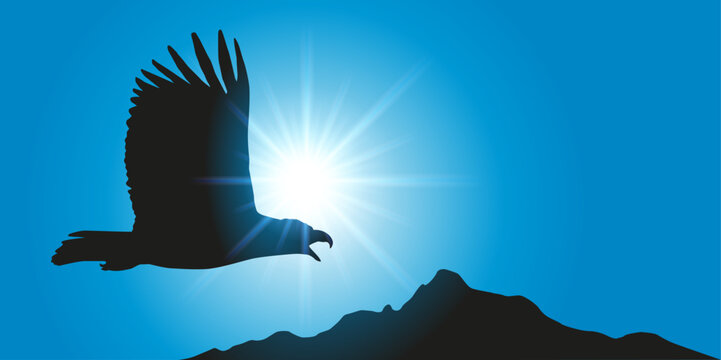 Concept de puissance avec un aigle royale volant en contre-jour, au dessus d’une chaine de montagne devant un ciel bleu.