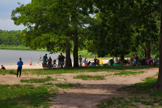 Schattige Liegewiese unter alten Eichen am Badestrand des Gorinsees mit Erholungssuchenden, Wandlitz, Landkreis Barnim, Brandenburg, Deutschland